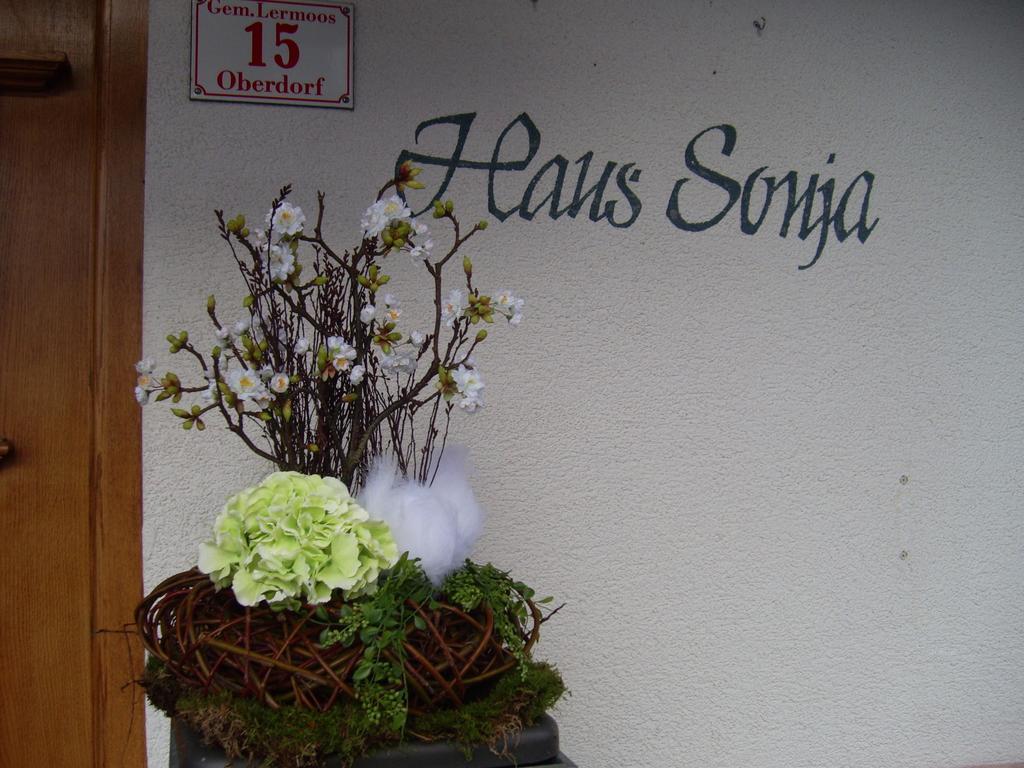 레르모스 Haus Sonja 아파트 외부 사진